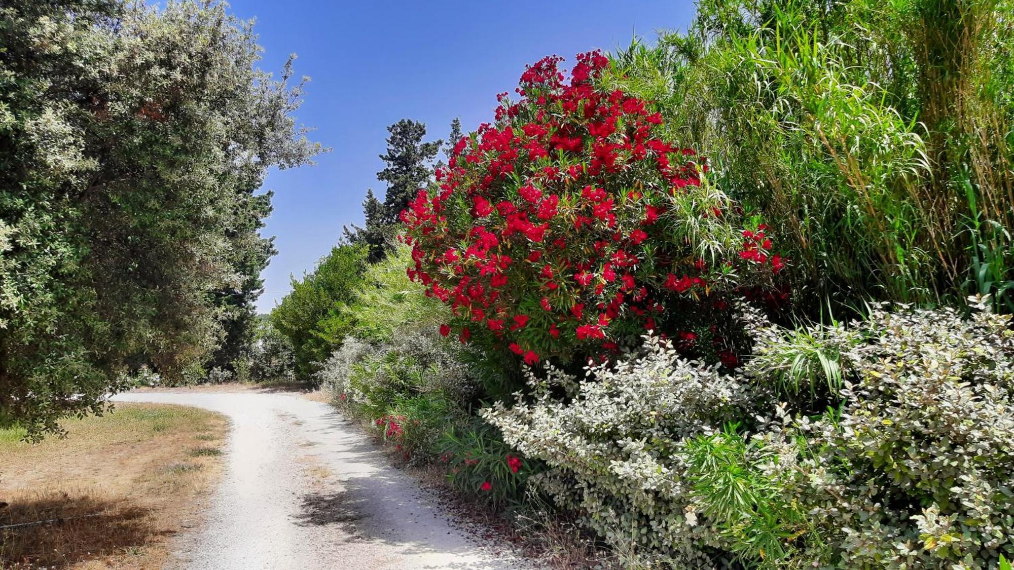 Mas Sansonnets Villa Mouries Dış mekan fotoğraf