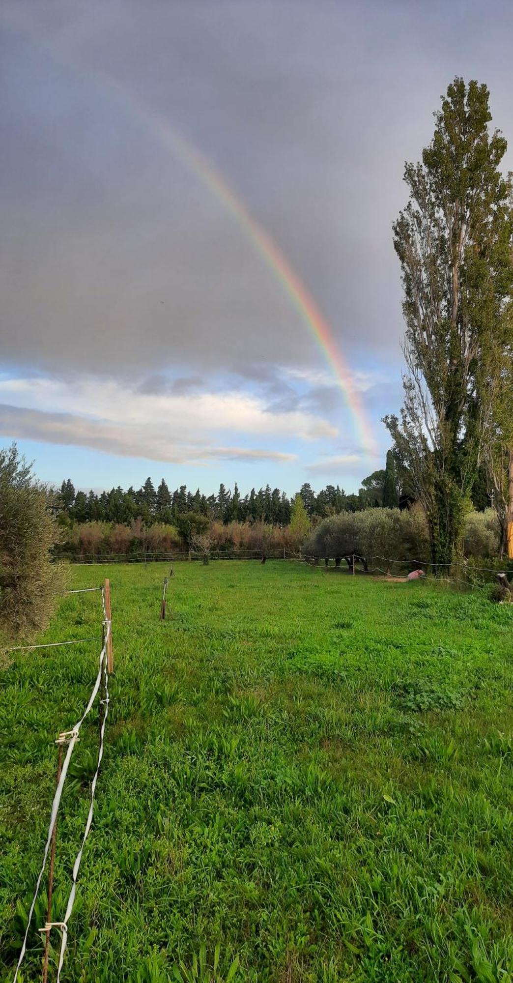 Mas Sansonnets Villa Mouries Dış mekan fotoğraf